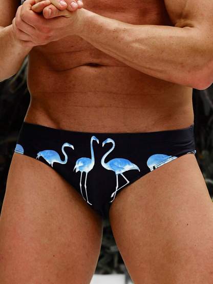 Flamingo Print Swim Brief-Waves And Trunks