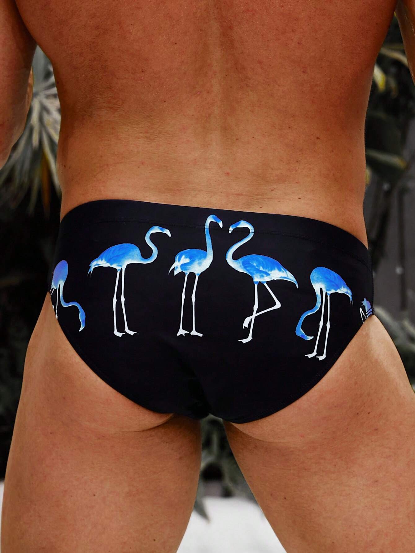 Flamingo Print Swim Brief-Waves And Trunks