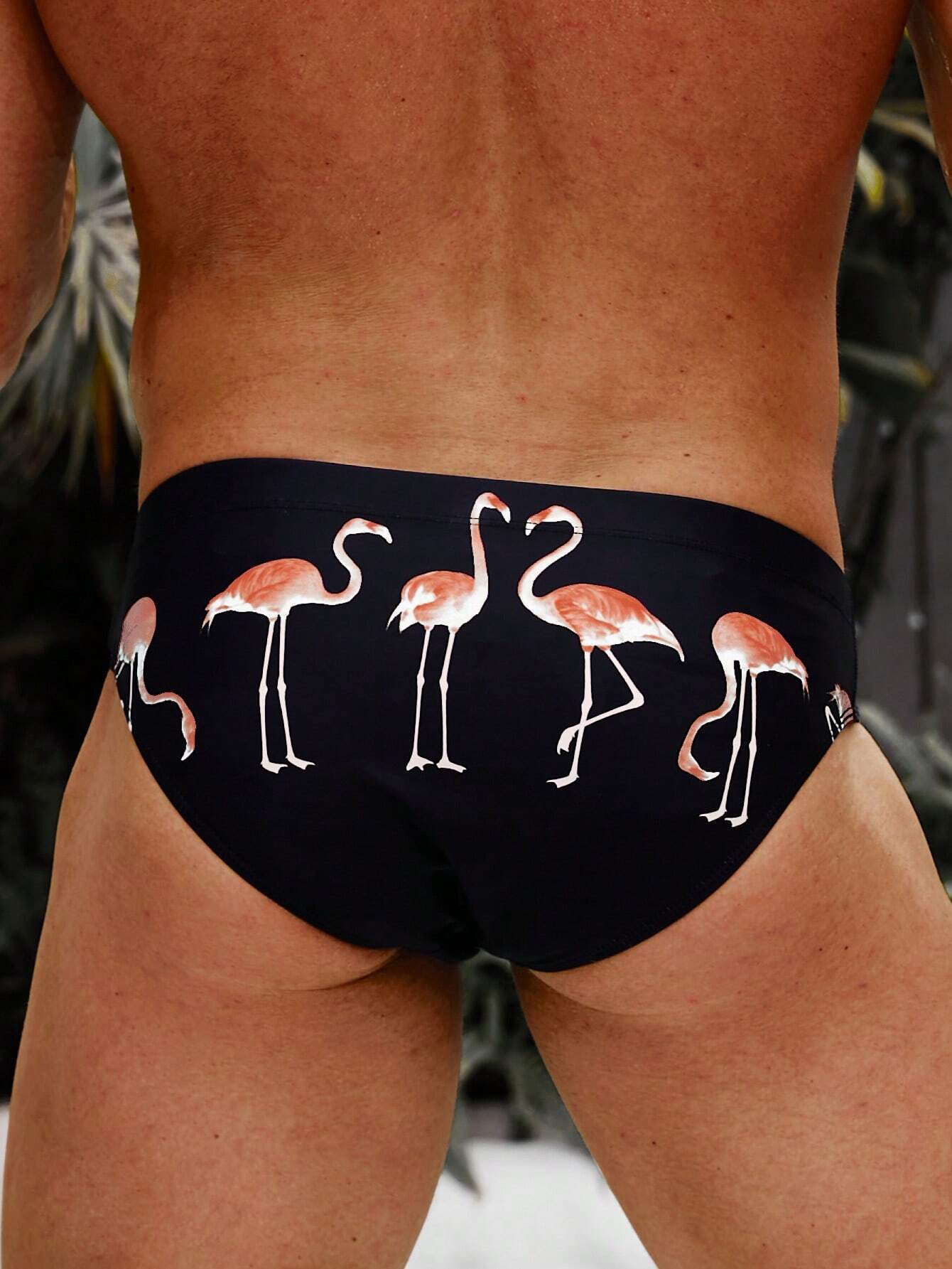 Flamingo Print Swim Brief-Waves And Trunks