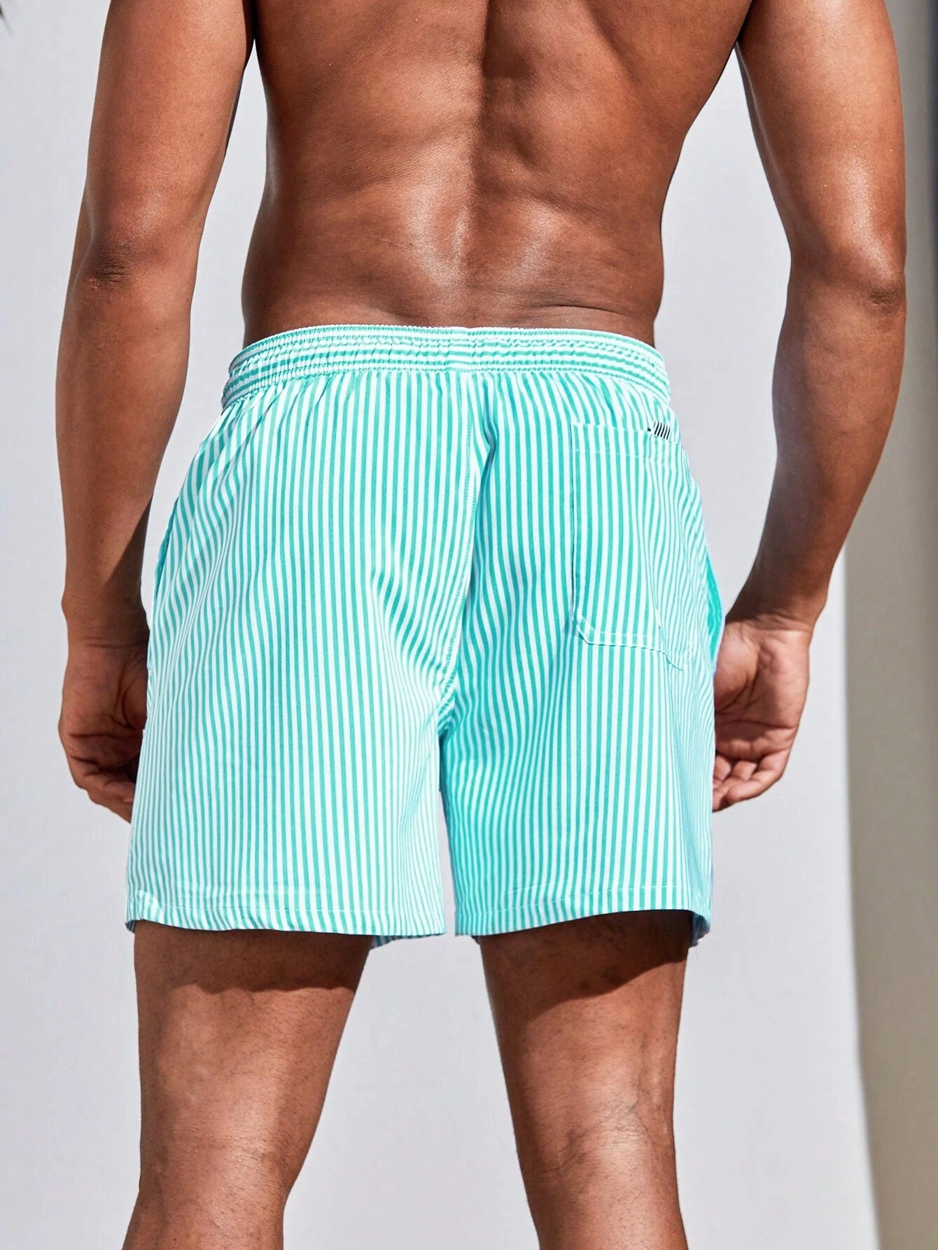 Color Striped Swim Short-Waves And Trunks