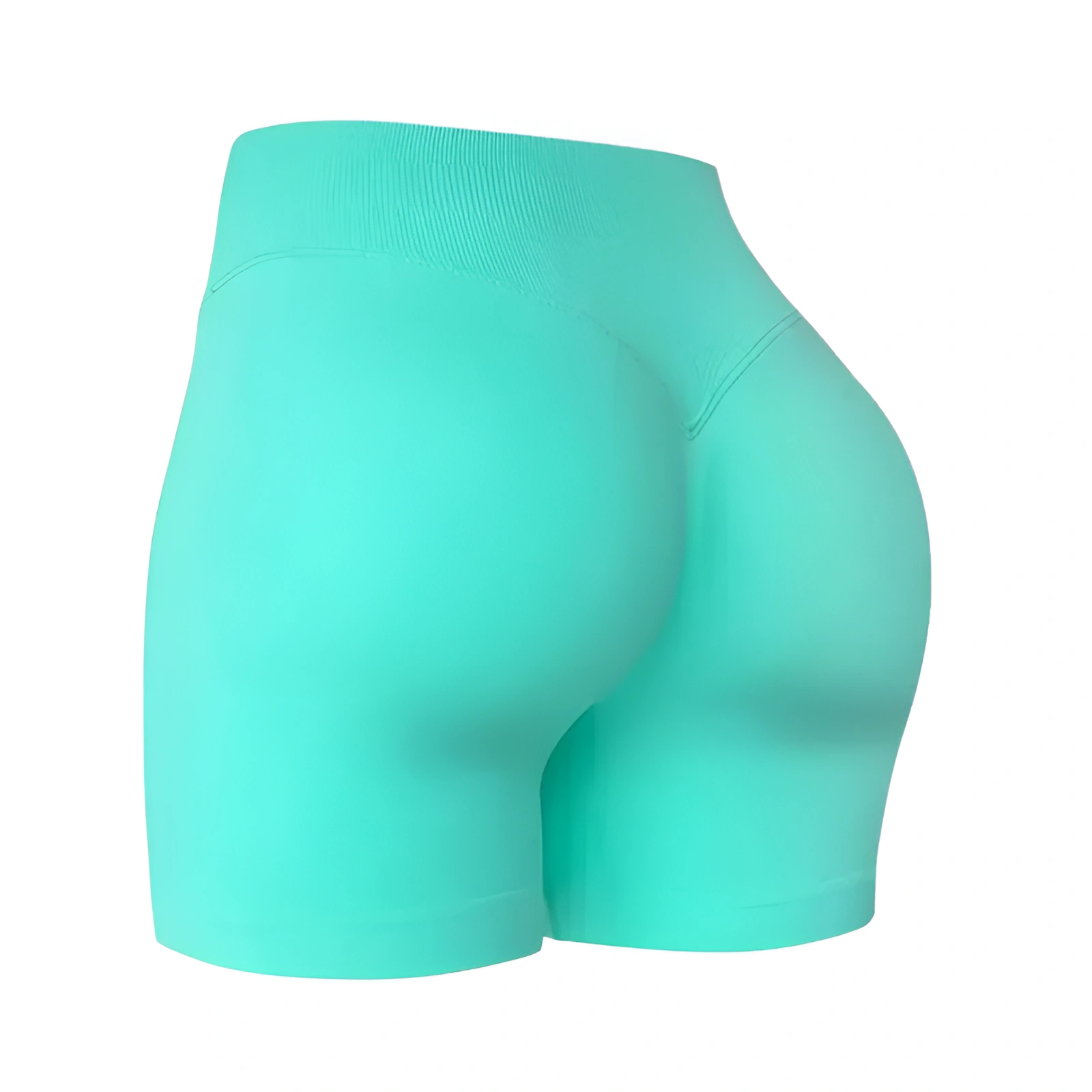 Seamless High Rise Workout Shorts For Women