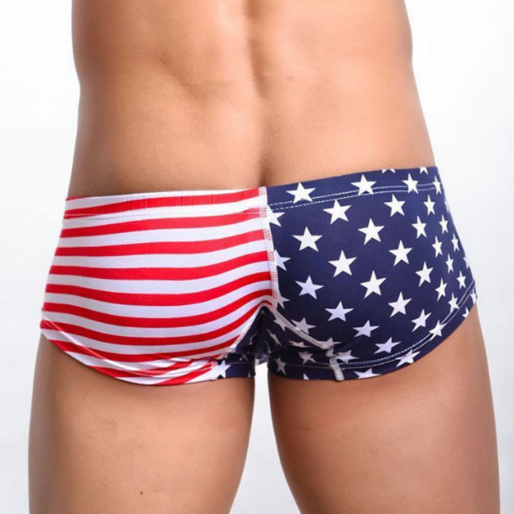 The US Flag Swim Brief-Waves And Trunks