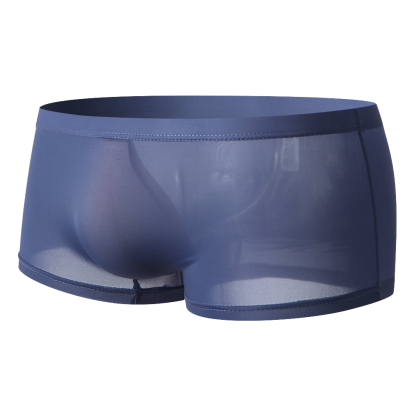 Ultra Thin Silk Briefs - Comfort and Style Combined-Waves And Trunks