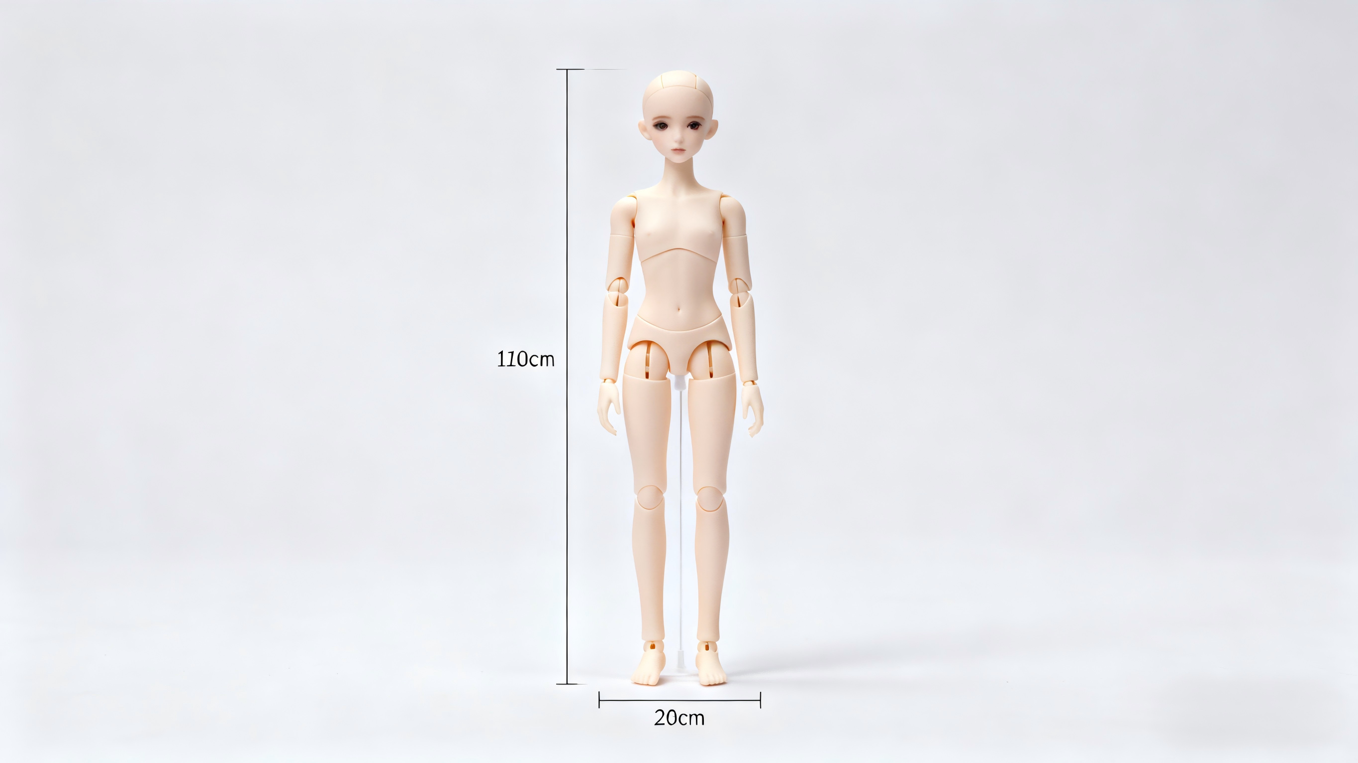 1/6 BJD doll body proportions and size reference