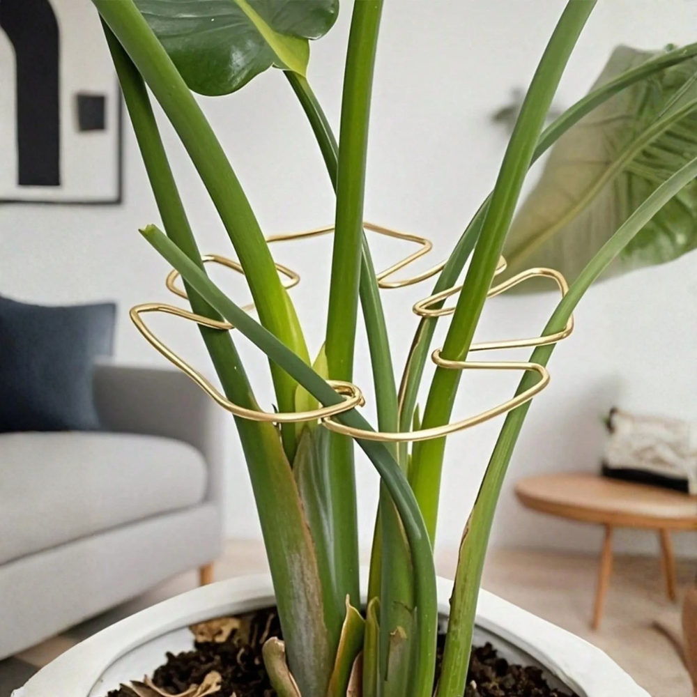 Turtle Shell Bamboo Plant Support System For Climbing Plant Growth For Healthy Aesthetic Support