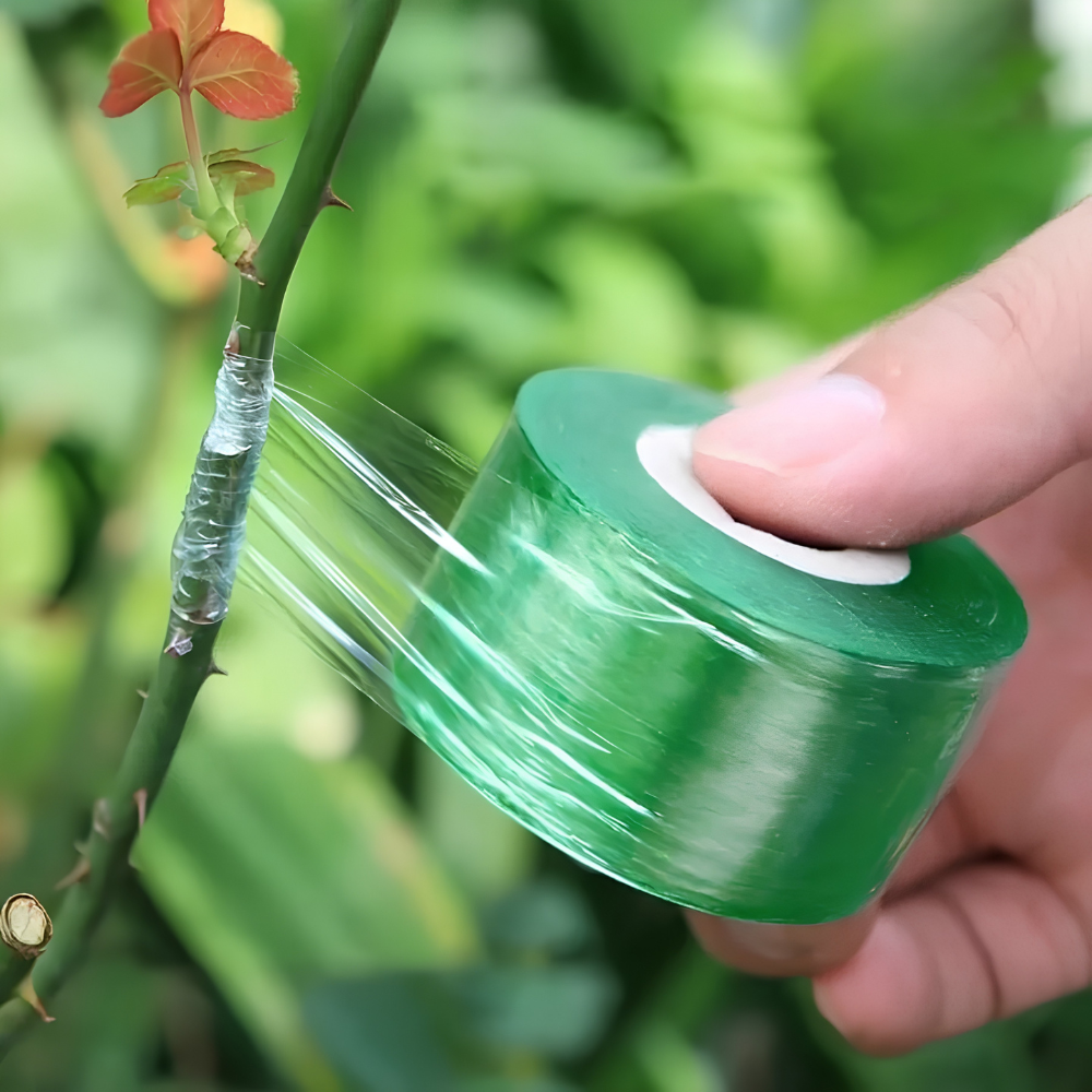 High Quality Self Adhesive Grafting Tape For Fruit Tree Seedlings And Gardening 