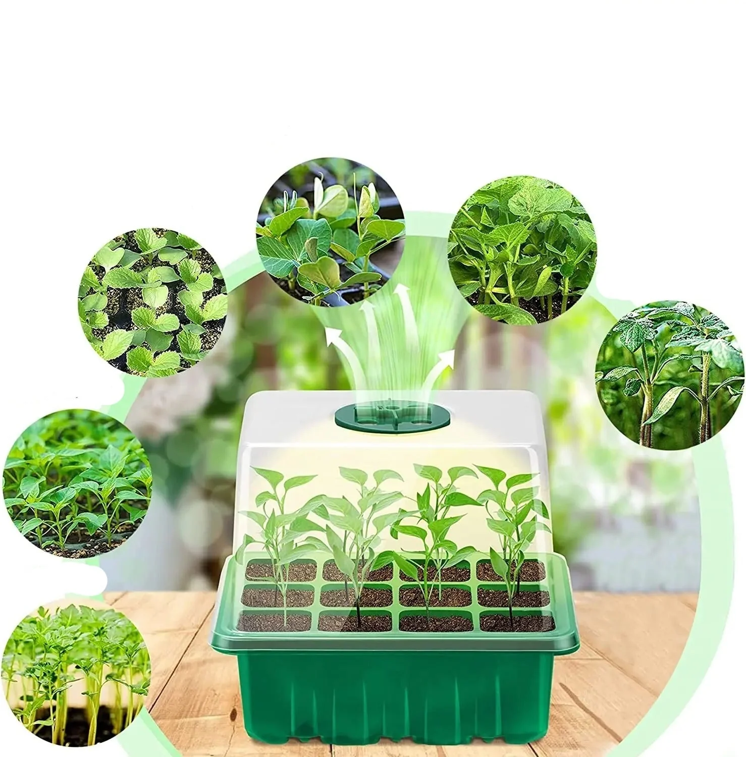 Household Nursery Plant Seed Starter Tray With Grow Light