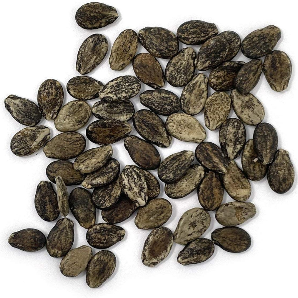 Organic Watermelon Seeds (Crimson Sweet) - Approx 12 Seeds 