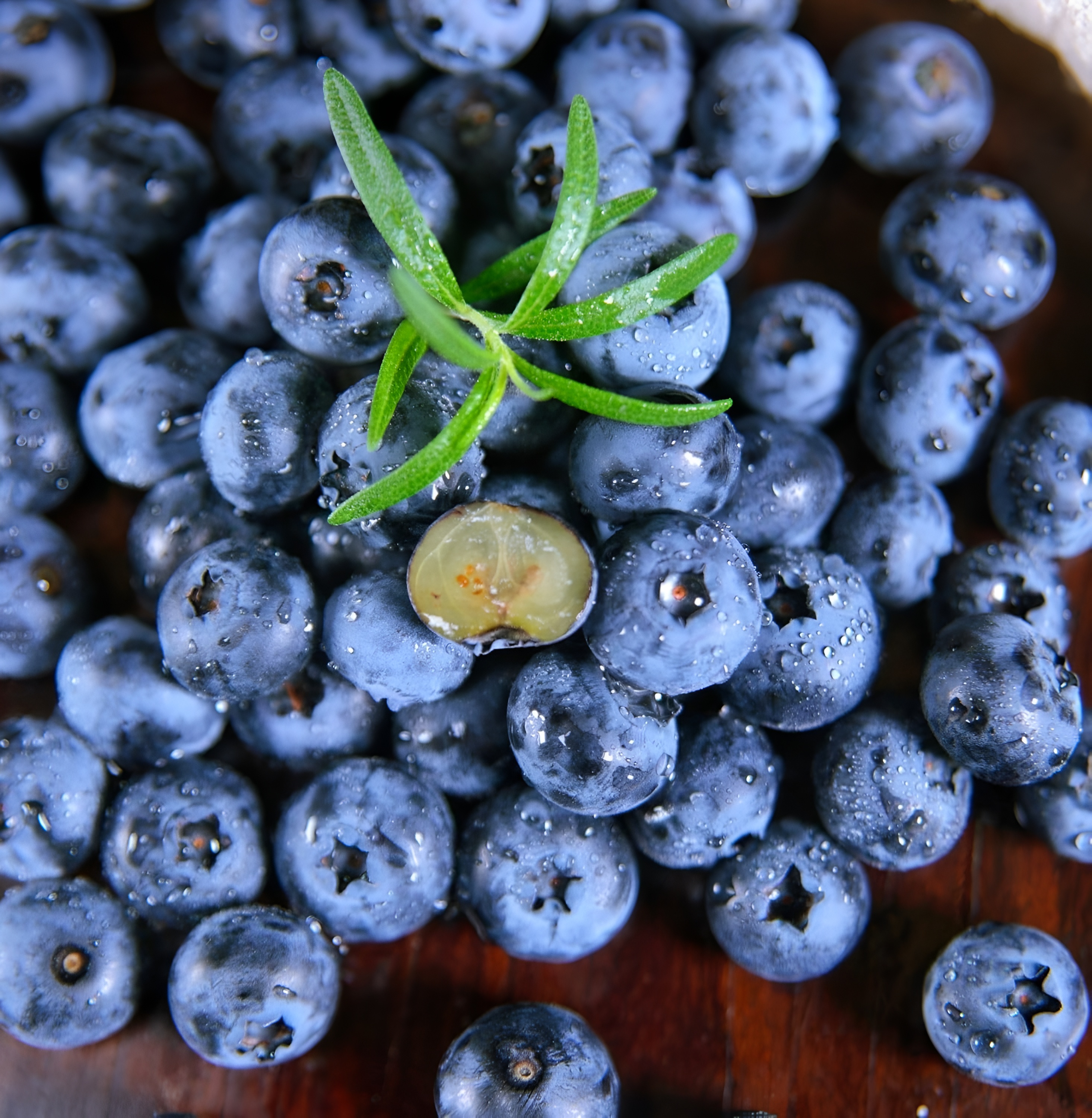 500+ Blueberry Seeds for Planting