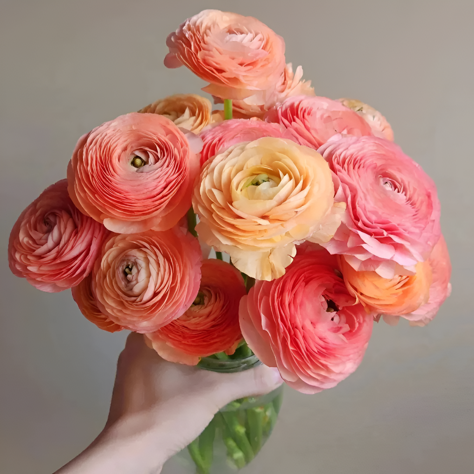 A Garden of Eternal Elegance