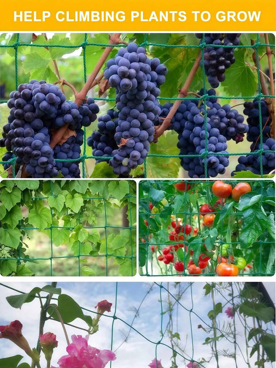 1pc Plant Climbing Net, Planting Supplies & Tools, Loofah Morning Glory Flowers Vine Plants Climbing Net Cucumber Vine Grow Holder Trellis Netting,Multiple Sizes Available - Green - View 2