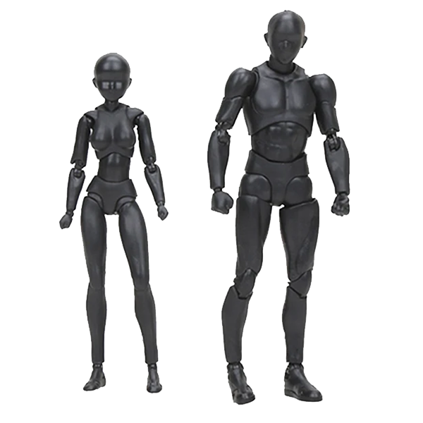 Official Body Kun and Body Chan Model Figures for Artists-Viral Super Shop