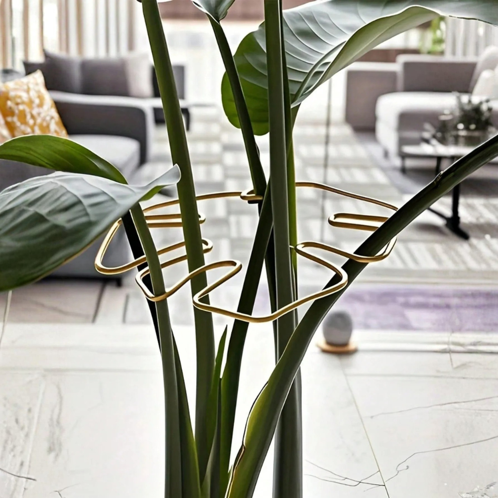 Turtle Shell Bamboo Plant Support System For Climbing Plant Growth For Healthy Aesthetic Support