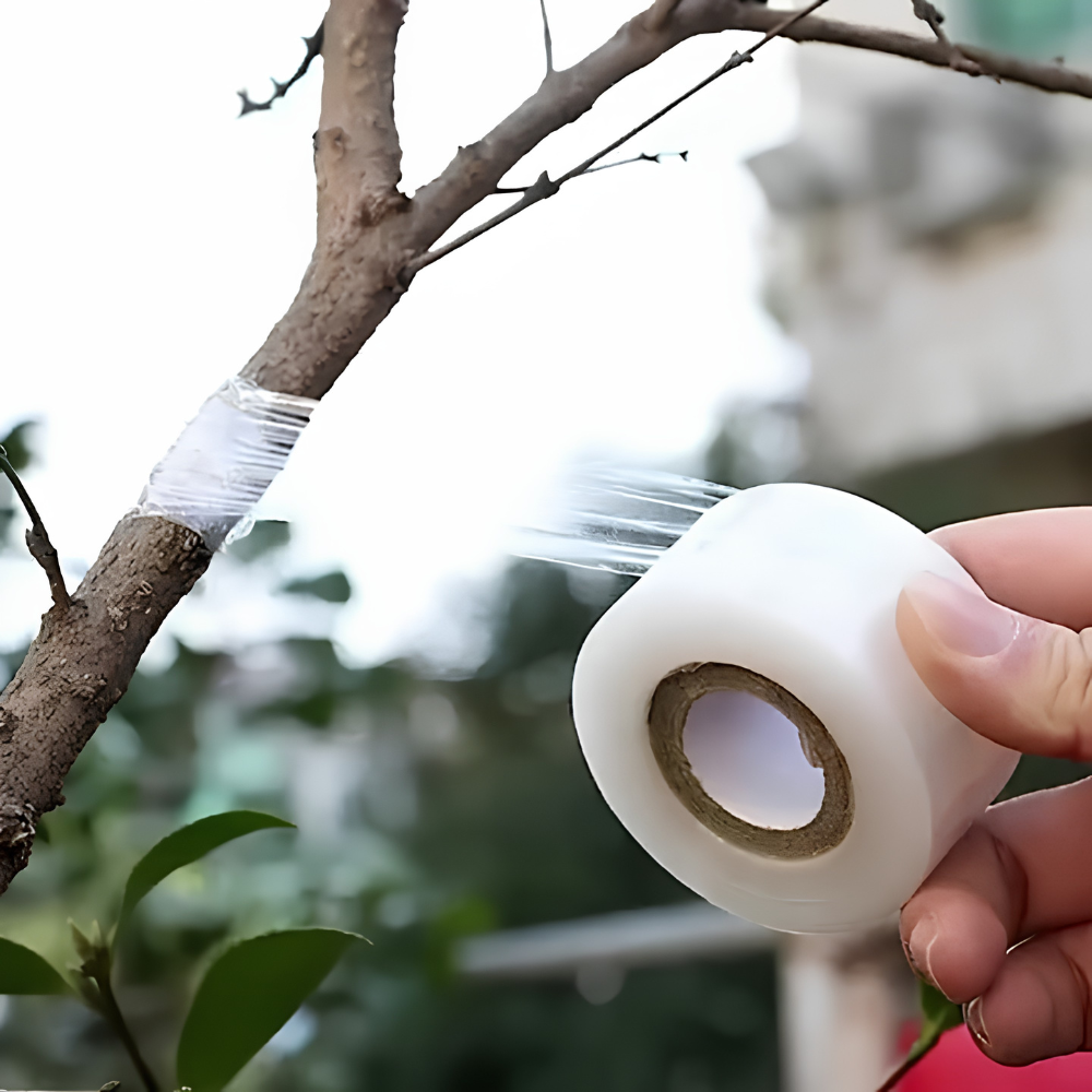 High Quality Self Adhesive Grafting Tape For Fruit Tree Seedlings And Gardening 