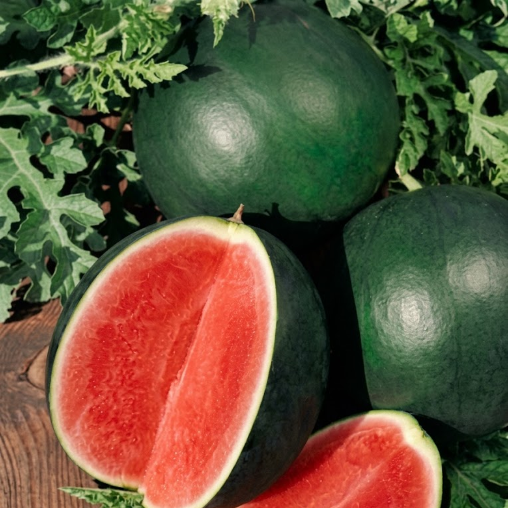 Watermelon, Black Diamond, Heirloom, 100 Seeds