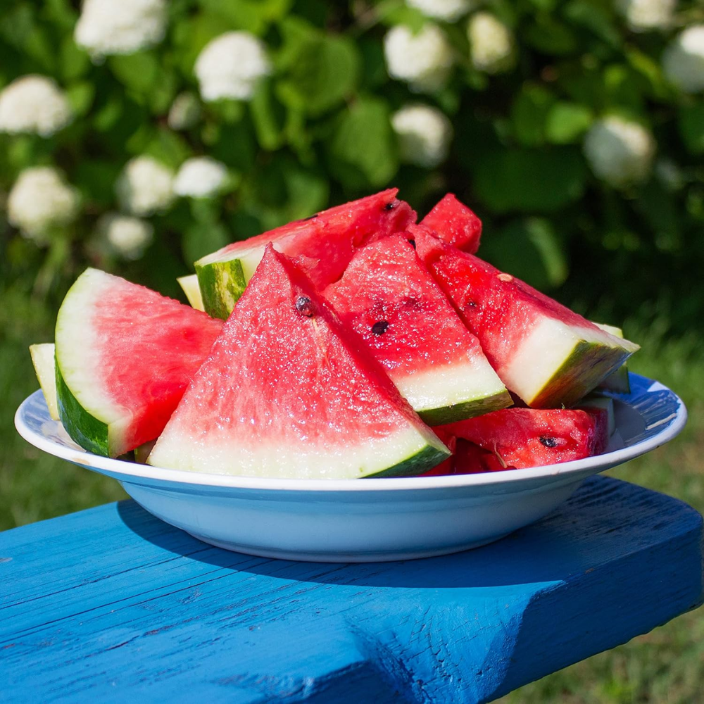 Organic Watermelon Seeds (Crimson Sweet) - Approx 12 Seeds 