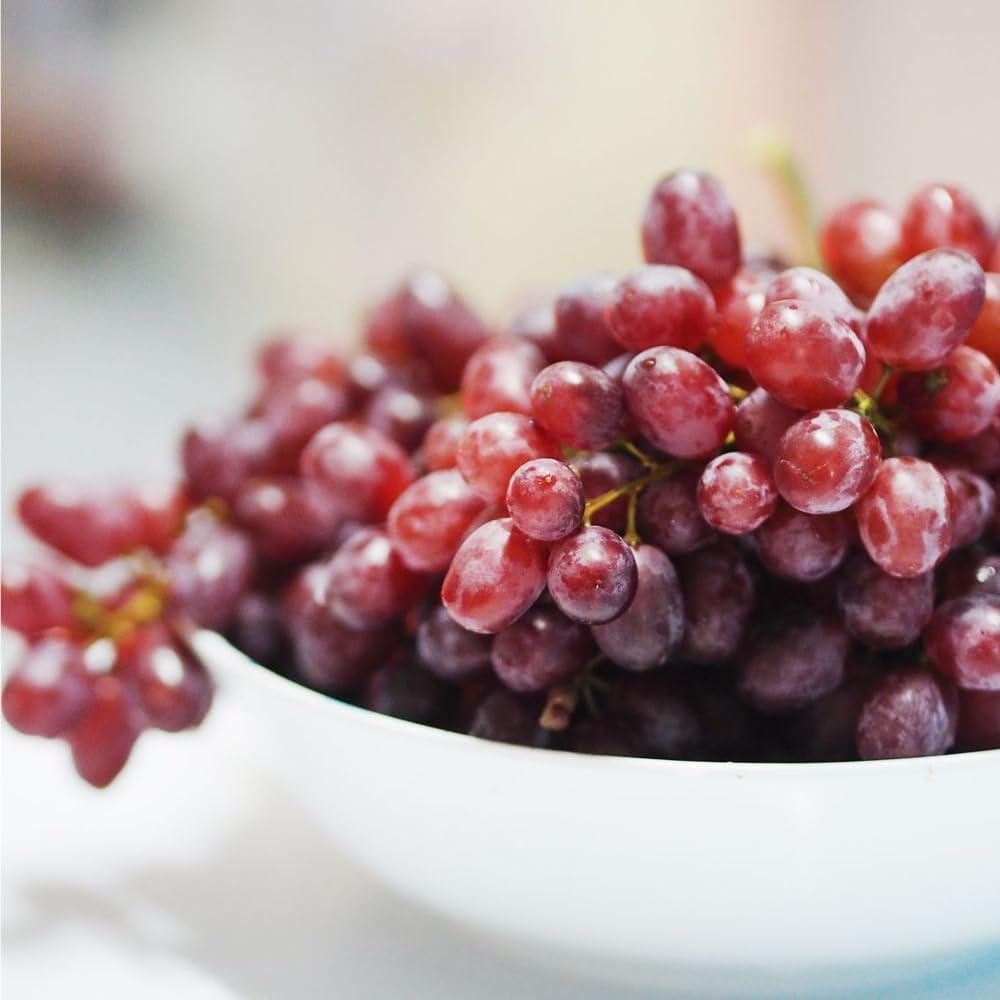 50+ Organic Red Grapes Seeds Seedless