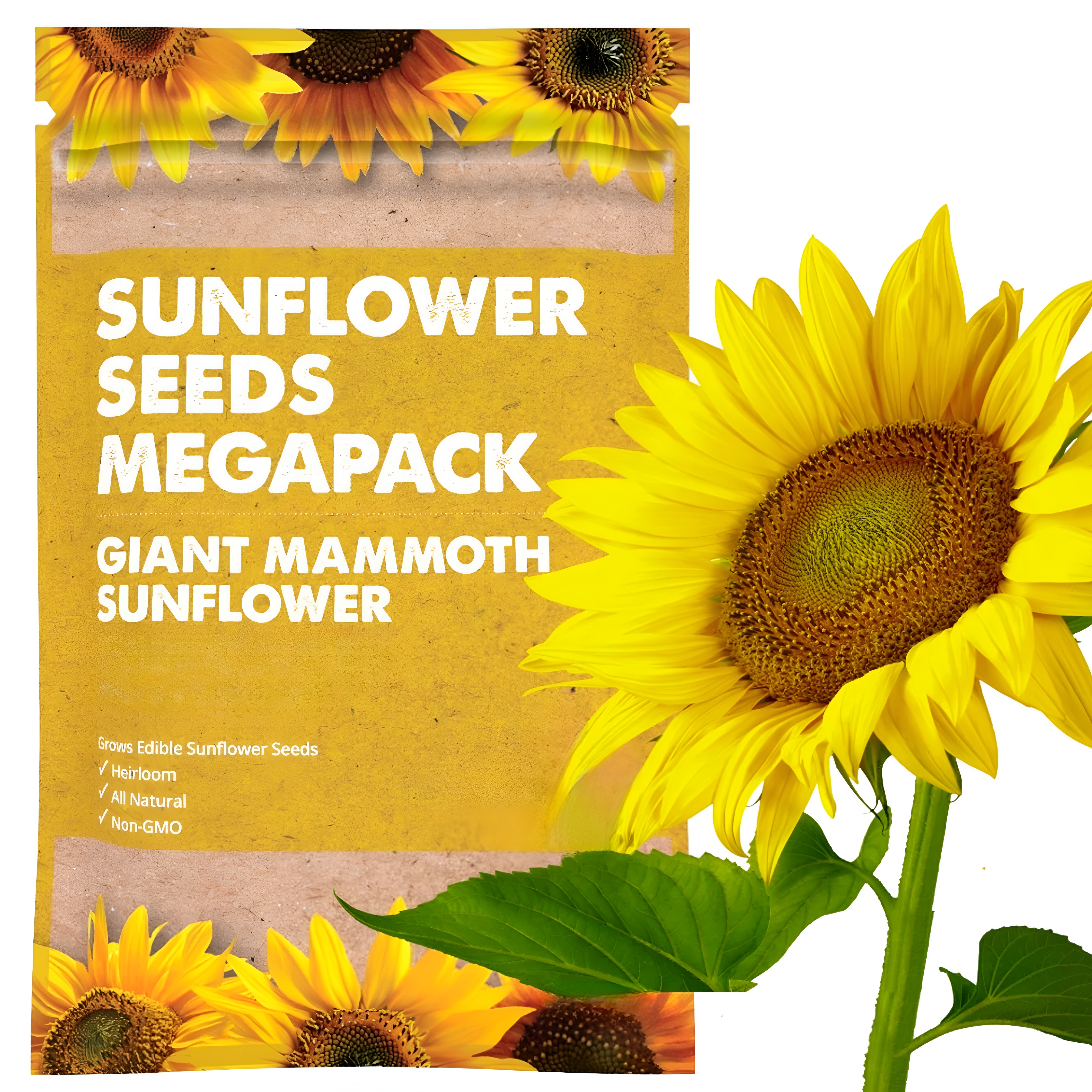 Wildflower Seeds 102.1g – 20 varieties of Oh! mixed annual and perennial flower seeds Canada Seeds – Wildflower Seeds Wildflower Seeds Seeds