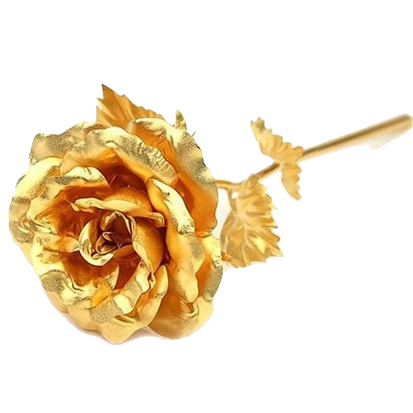 24K Gold Dipped Real Rose with Gift Box-Viral Super Shop