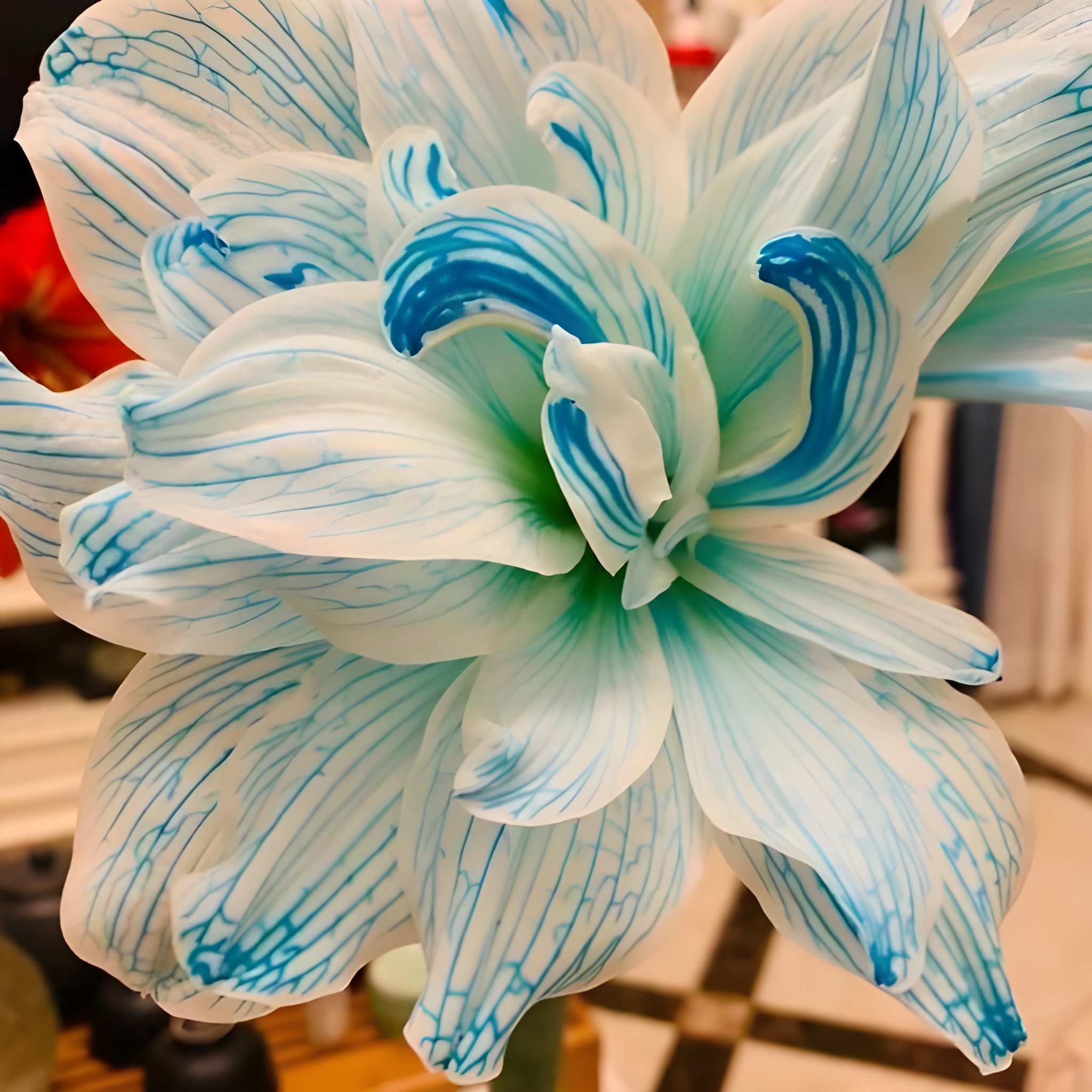500 Hippeastrum Fragrant Flower Seeds