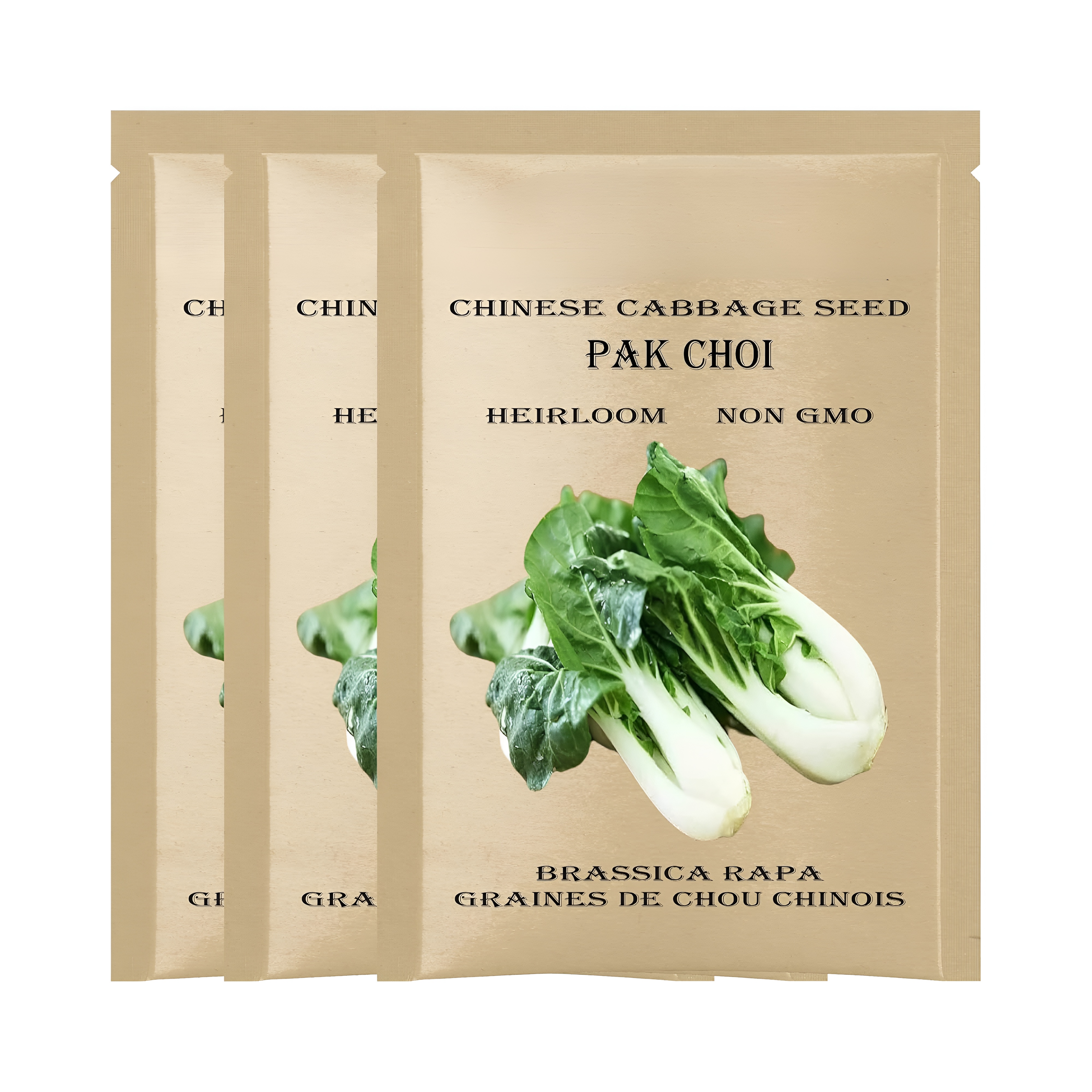 Evergreen Nebuka White Bunching Onion Seeds