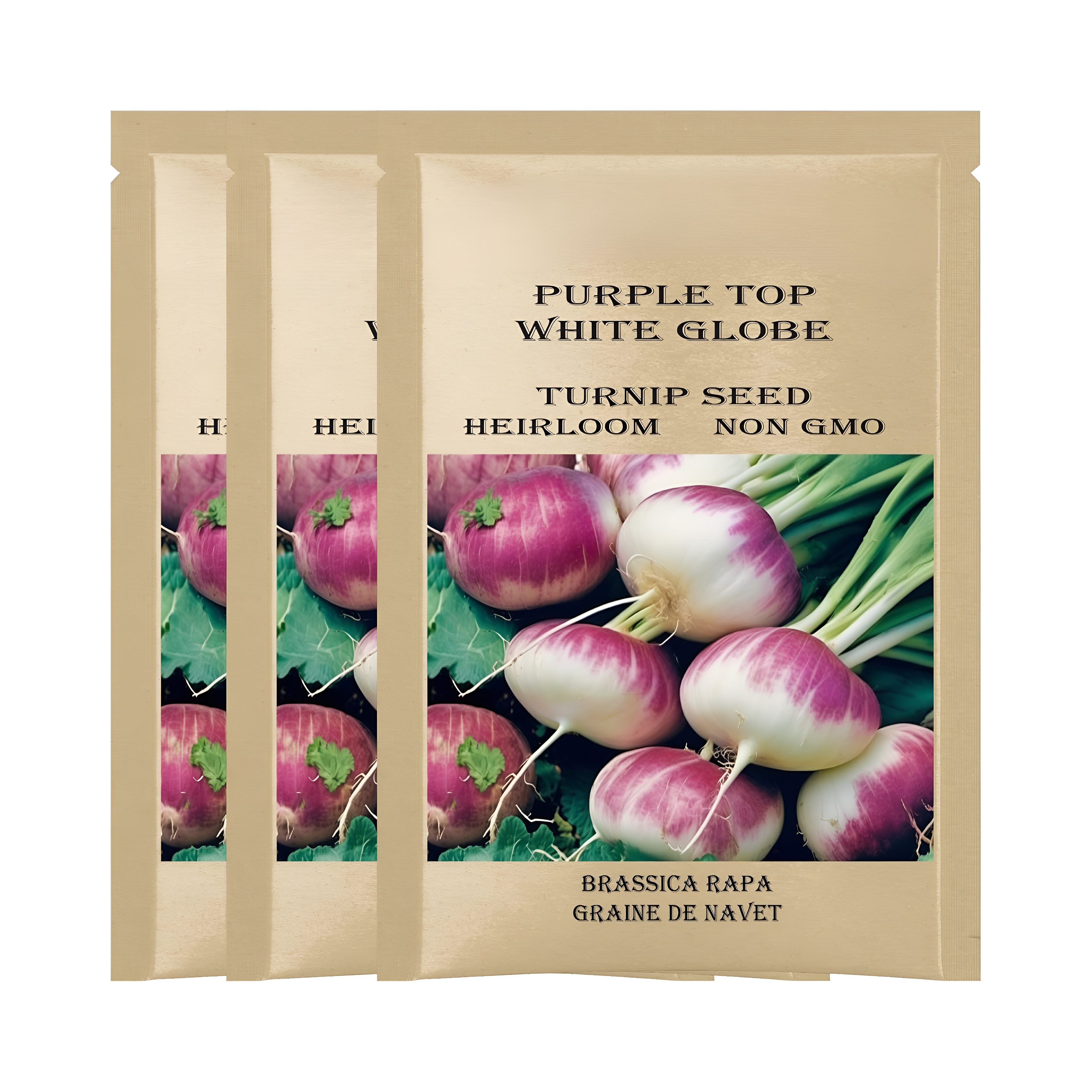 Evergreen Nebuka White Bunching Onion Seeds