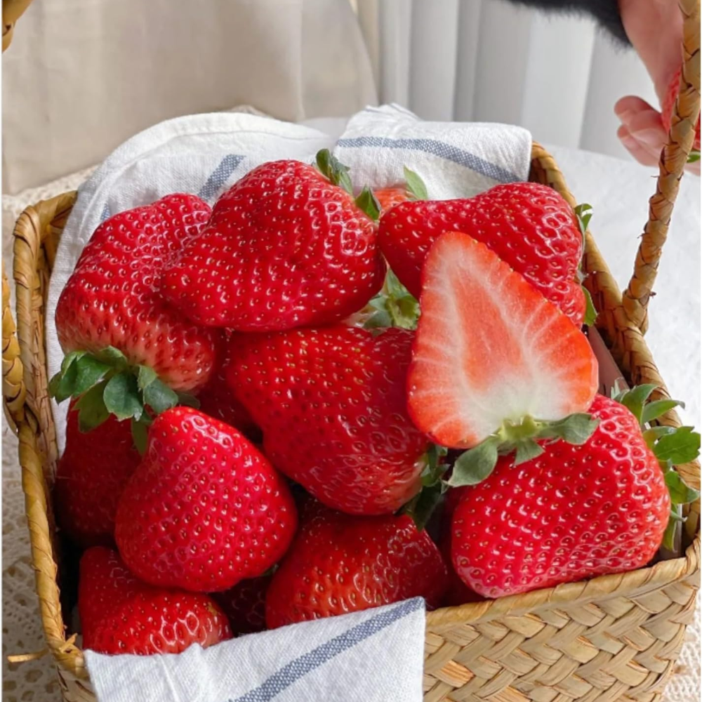  2000 Cream Strawberry Seeds - Richly Sweet & Tender
