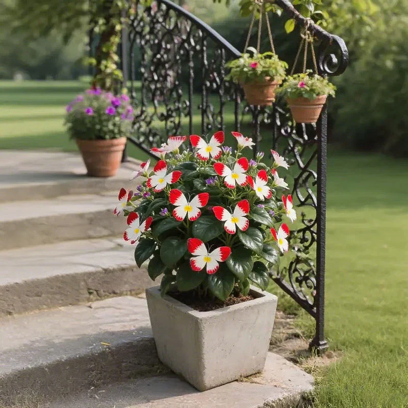 Butterfly Shape Flower Seeds