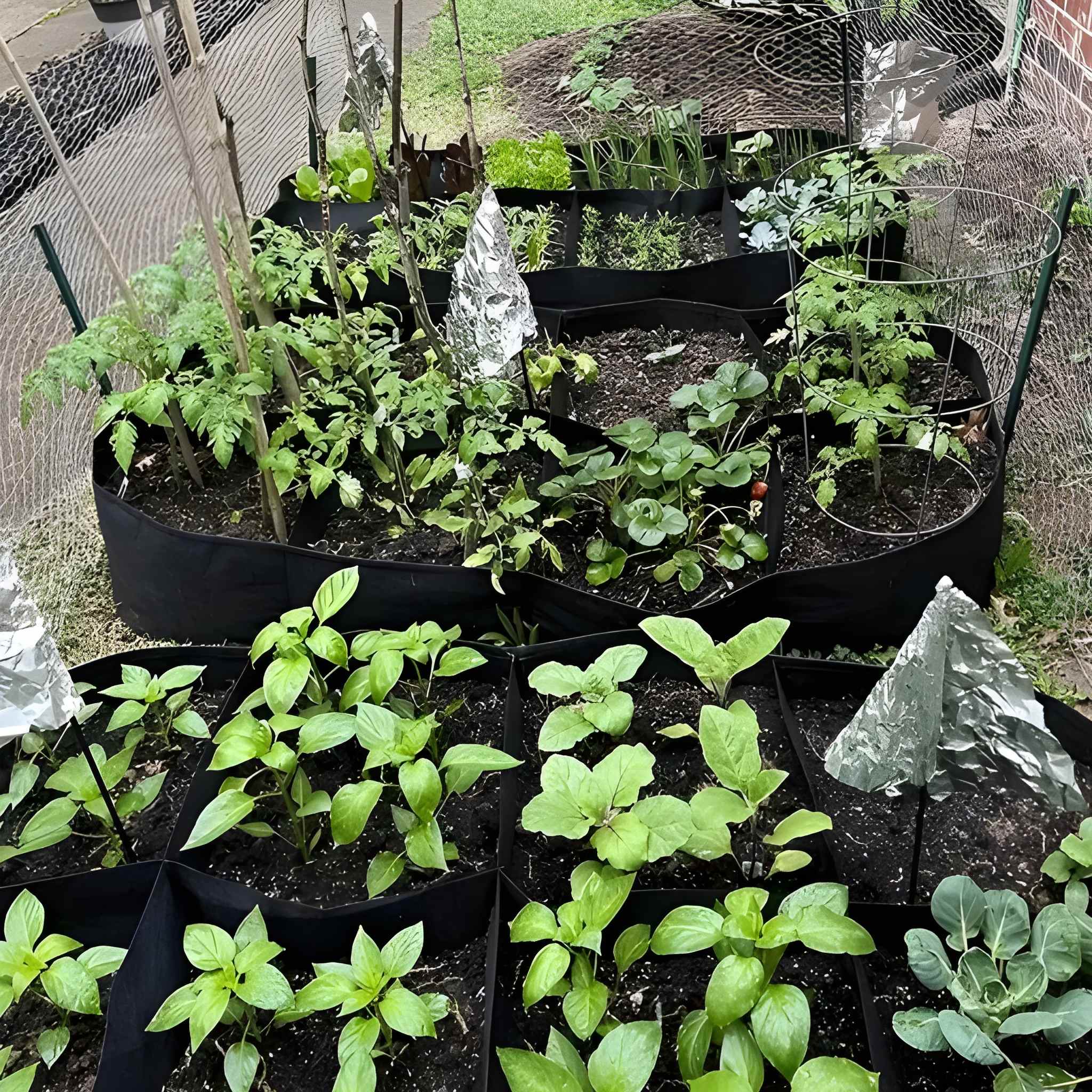 8 Tier Large Raised Garden Bed Set