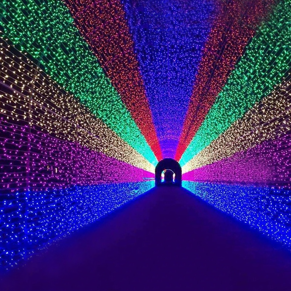 100 LED Fairy Lights Net-Viral Super Shop