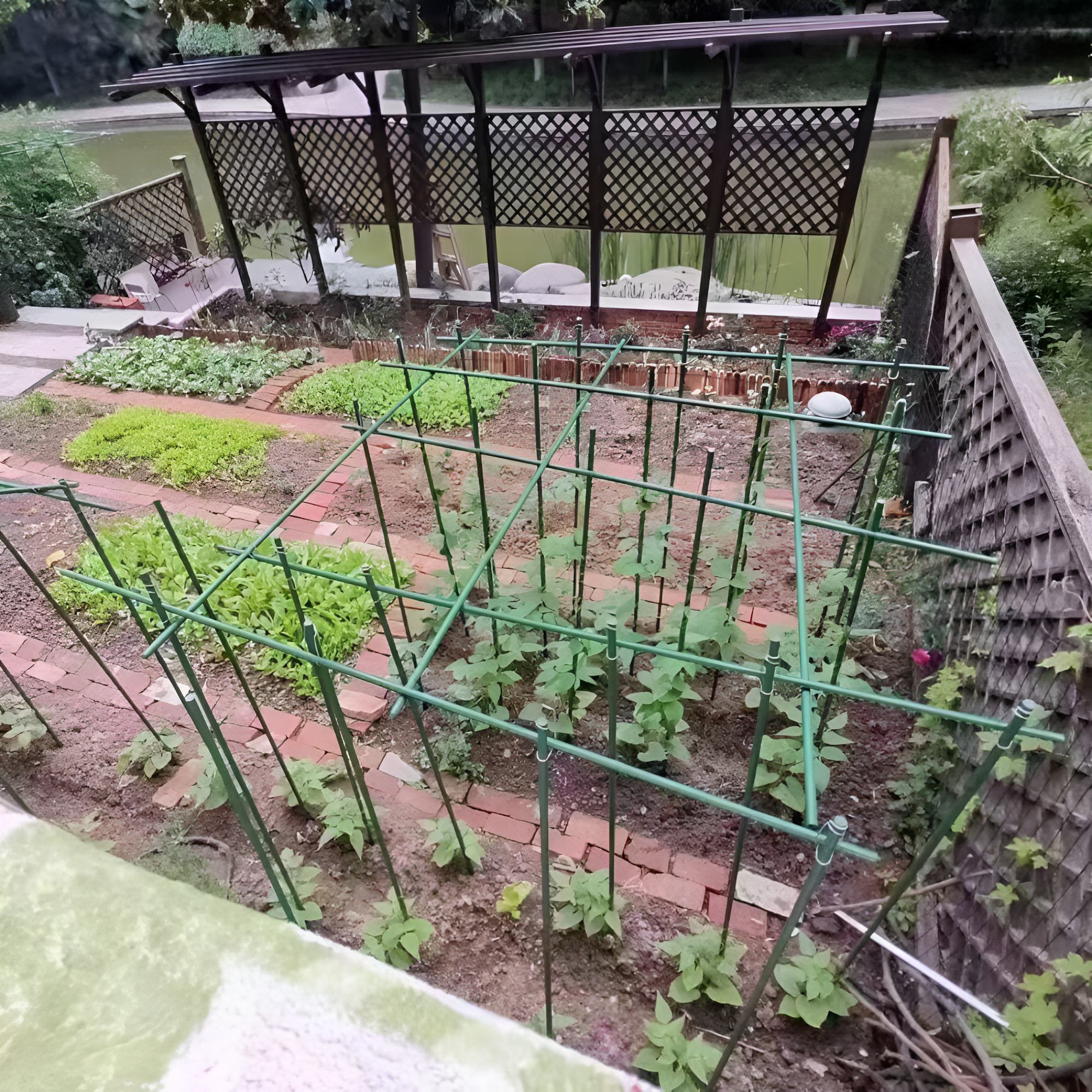 Sturdy Plant Climbing Trellis For Various Gardens And Balconies 