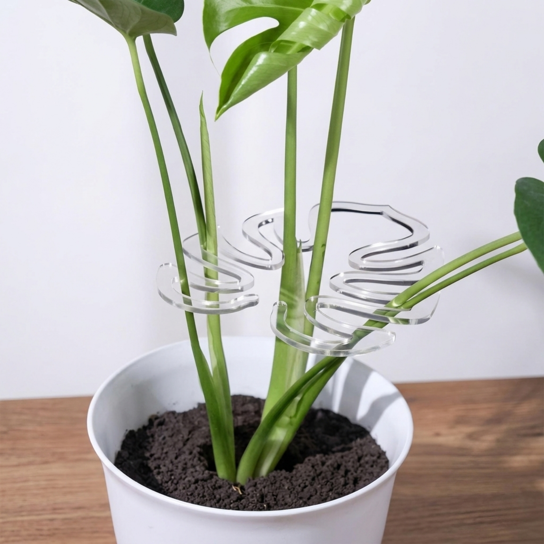 Leaf Shaped Plant Stem Support Stand For Climbing Plants
