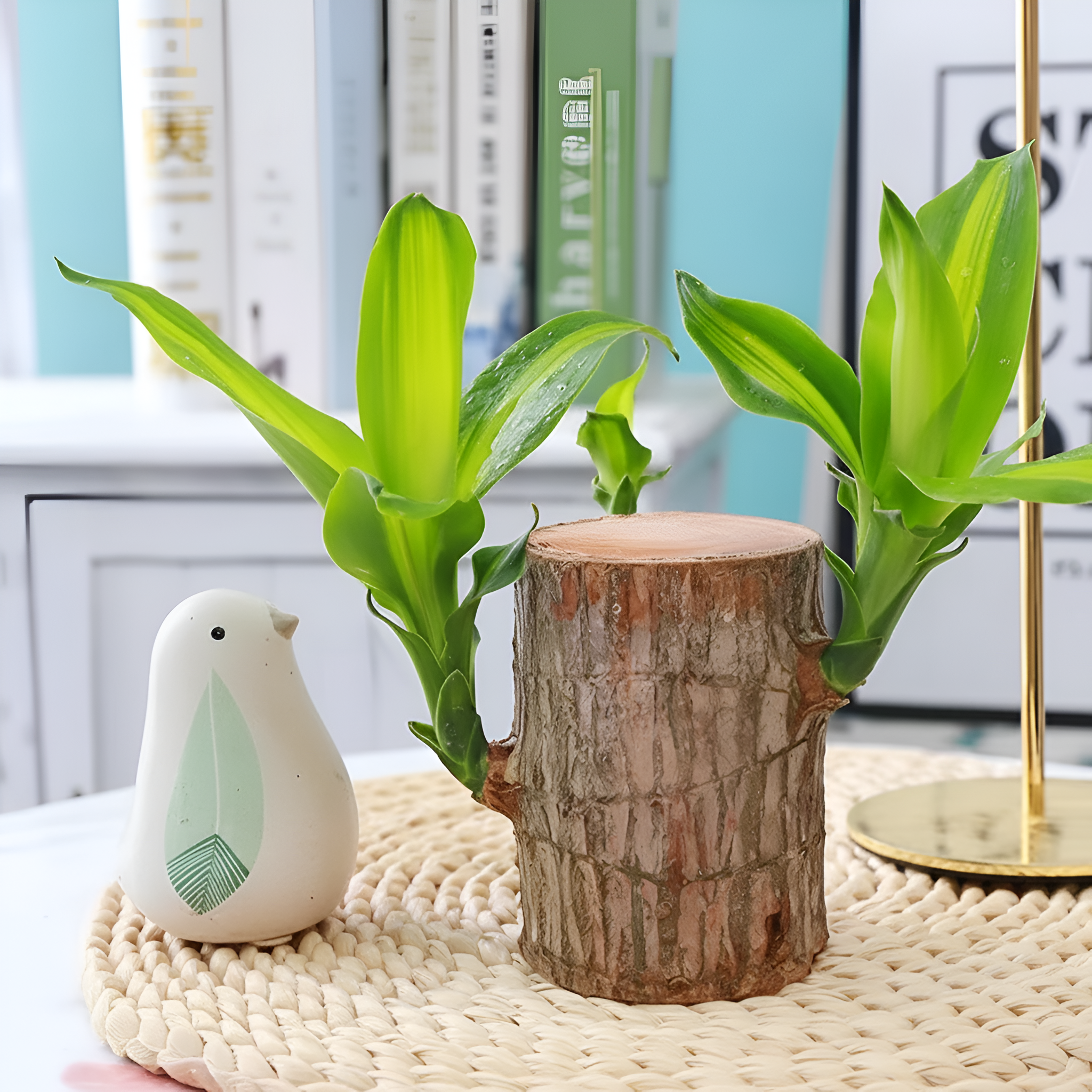 Mini Brazil Lucky Wood