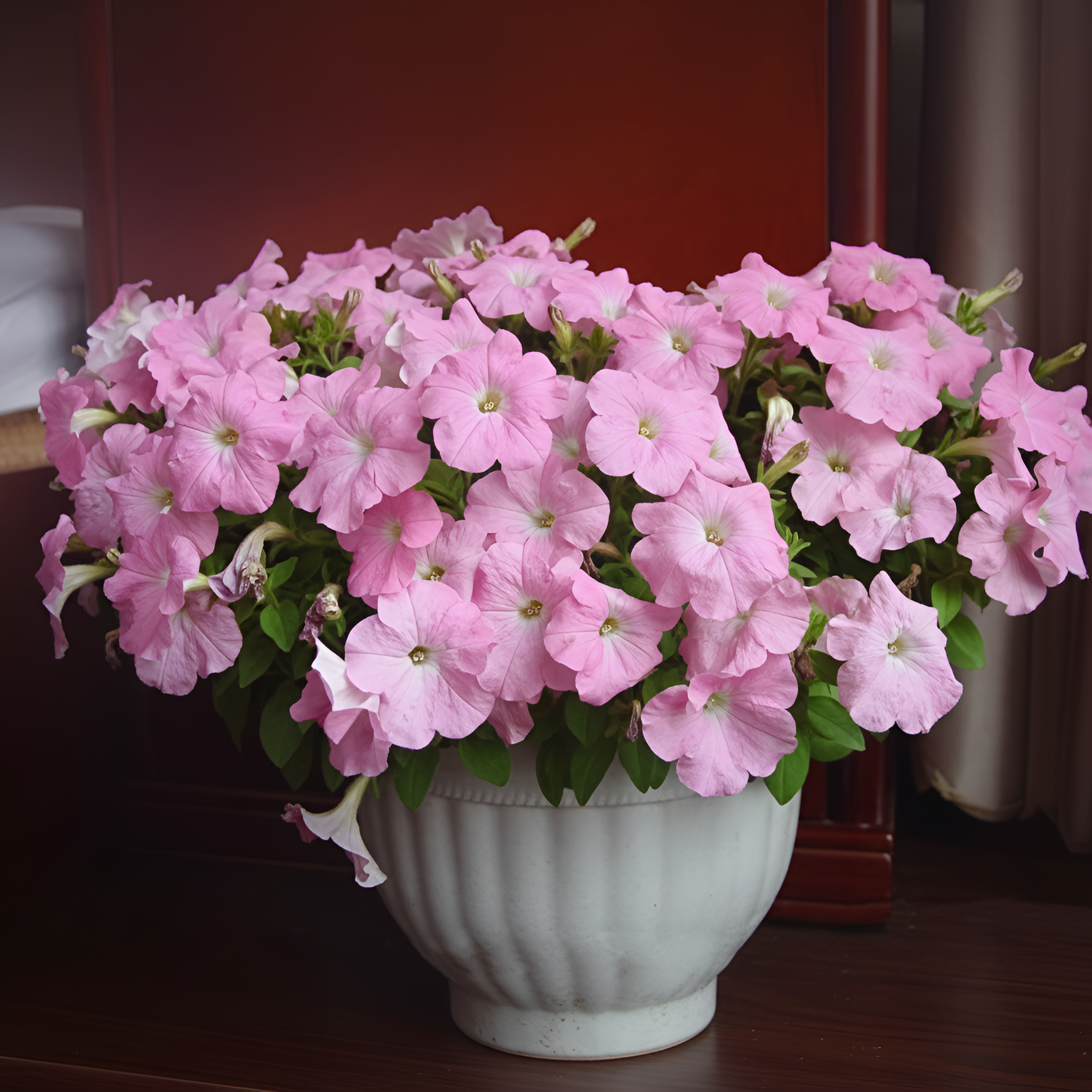 100pcs Scarce Rare Phantom Petunia Flower Seed Pack