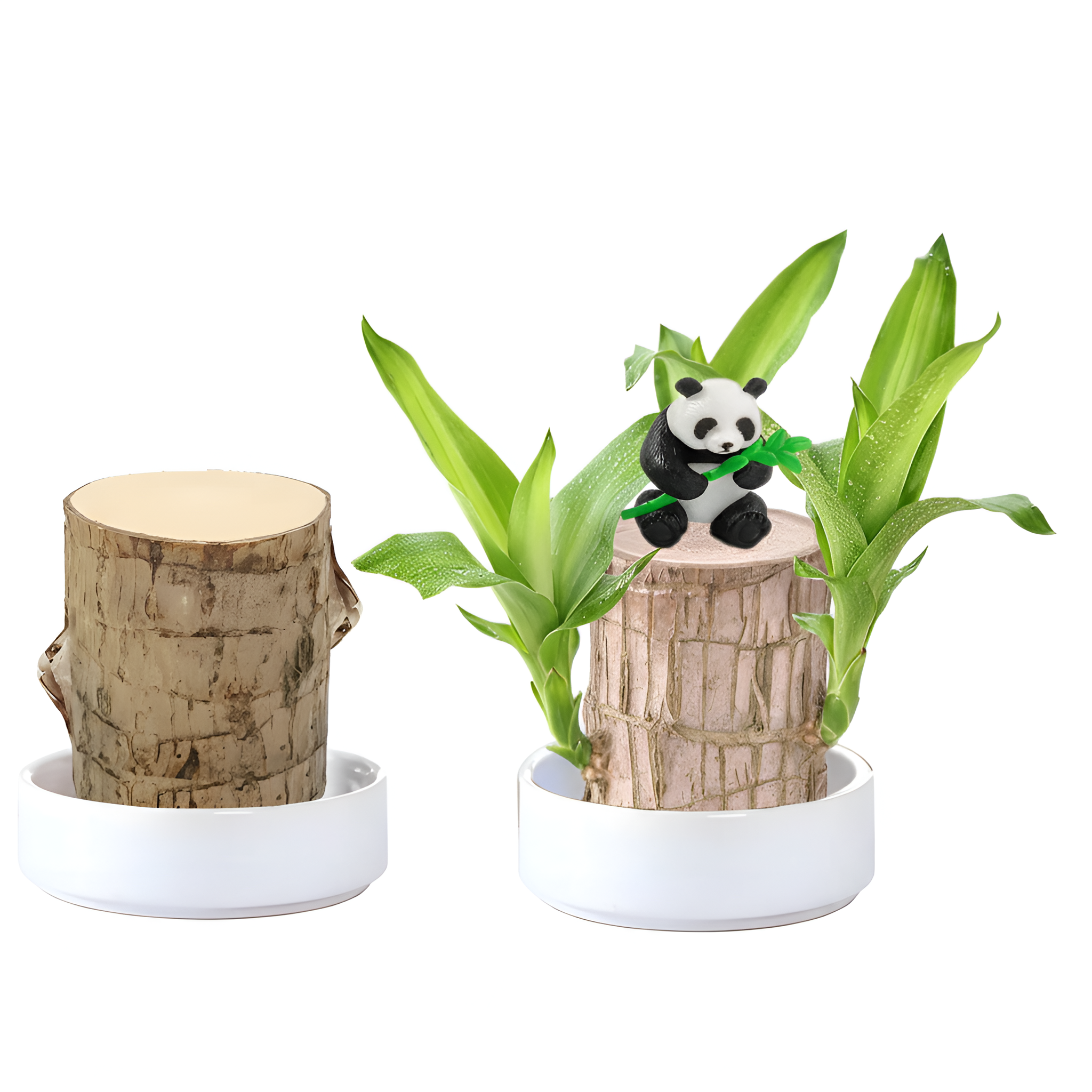 Mini Brazil Lucky Wood