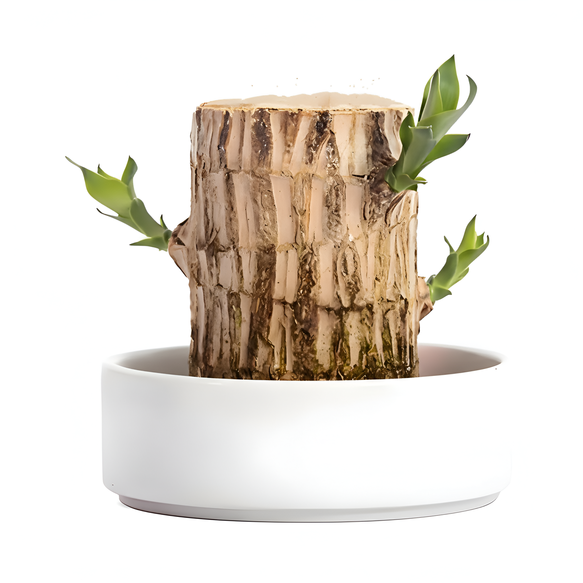 Mini Brazil Lucky Wood