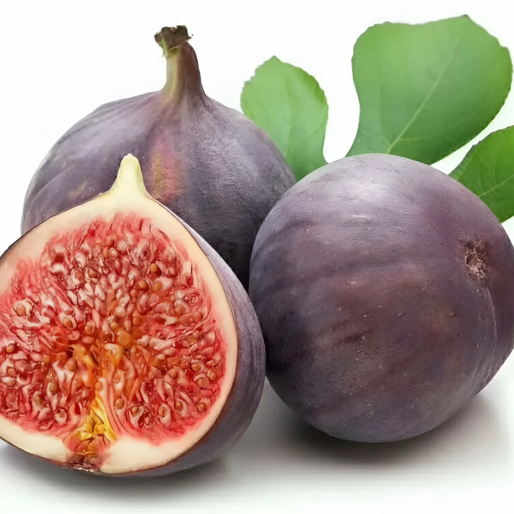 Giant Fig Tree Seeds For Backyard Gardens