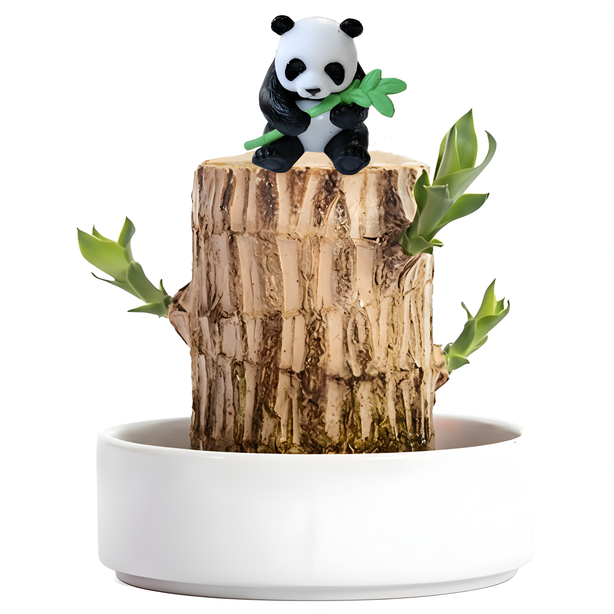 Mini Brazil Lucky Wood
