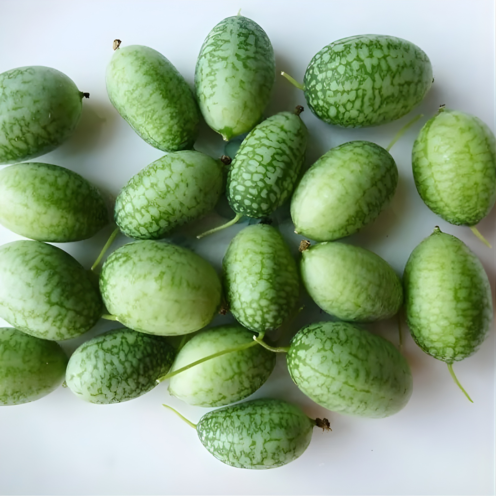 RARE SEEDS THUMB WATERMELON SEEDS