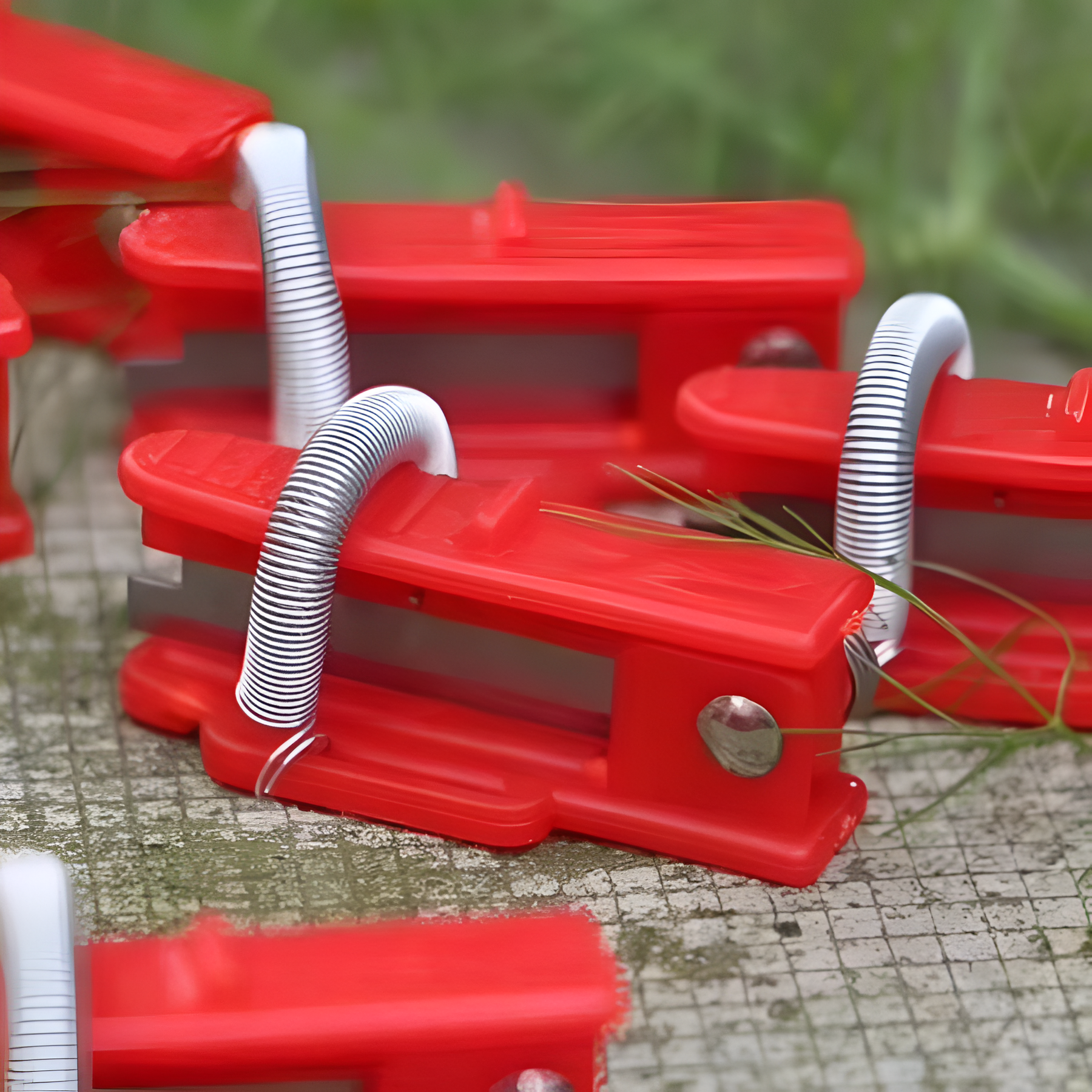 Stainless Steel Ring Knife For Picking Vegetable Harvesting