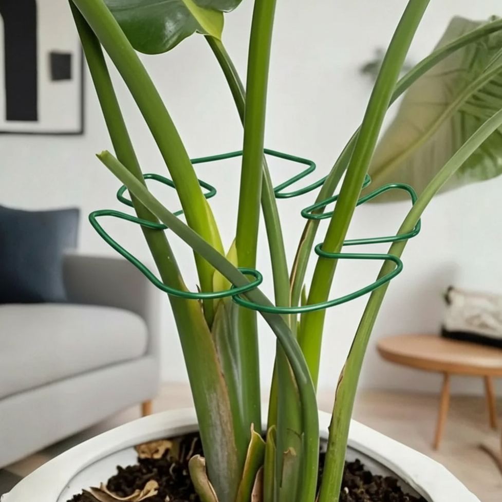 Turtle Shell Bamboo Plant Support System For Climbing Plant Growth For Healthy Aesthetic Support