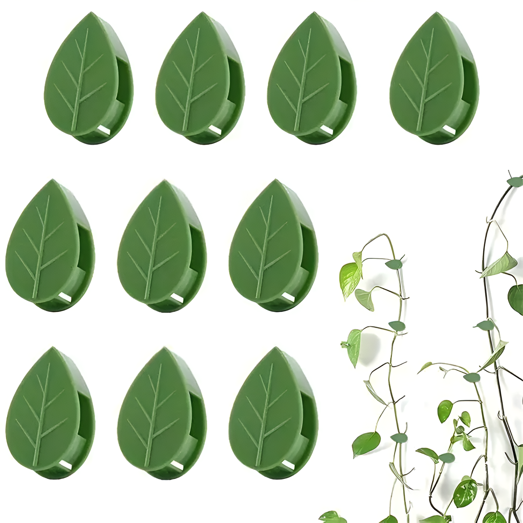 Green Leaf Plant Wall Fixture Clips For Climbing Plants