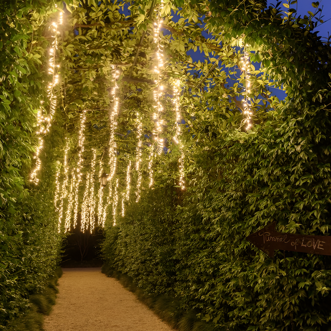 3M Warm White LED Cluster String Lights