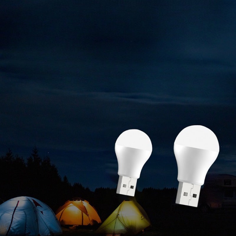 2 Pack USB Plug Powered LED Bulb Light-Sparklie Lights