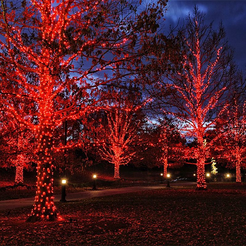 2 Pack Outdoor Decorative Fairy LED Lights-Sparklie Lights