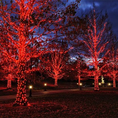 2 Pack Outdoor Decorative Fairy LED Lights-Sparklie Lights