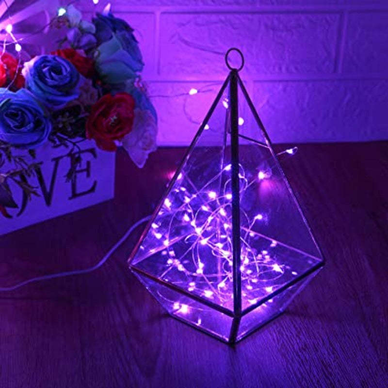 Decoration LED String Lights-Sparklie Lights
