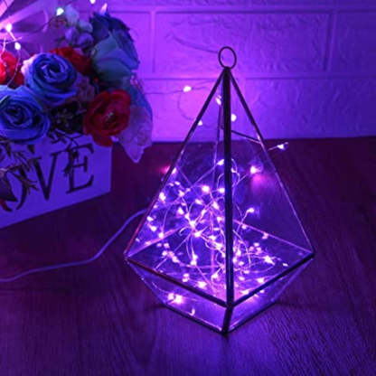 Decoration LED String Lights-Sparklie Lights