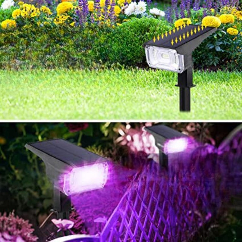 Solar Powered Yard Light-Sparklie Lights