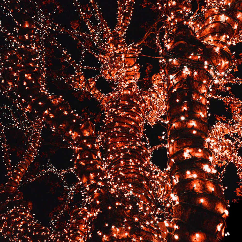 Decorative Connectable Waterproof String Lights-Sparklie Lights